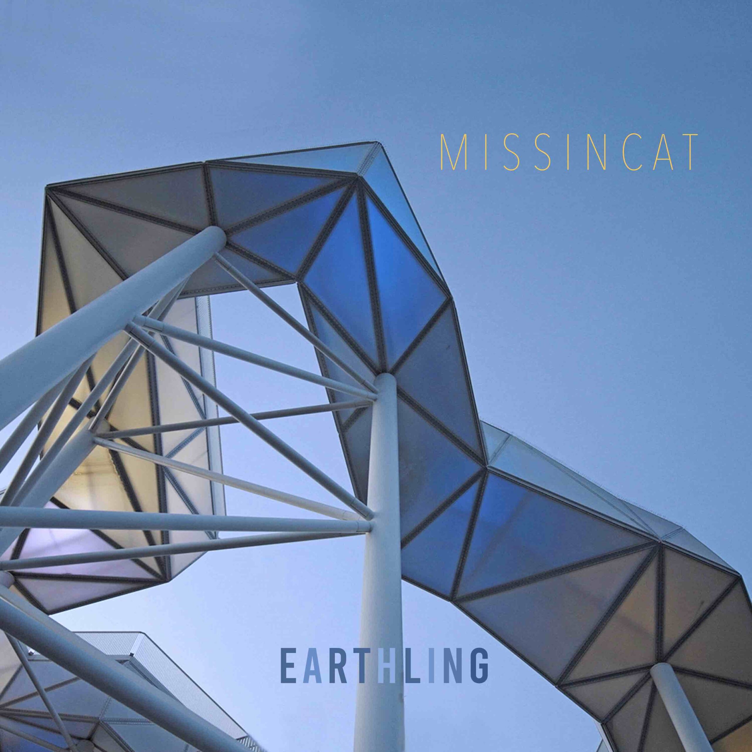 MISSINCAT Earthling